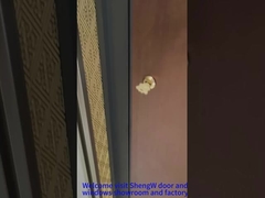 Aluminium voorste draaideur